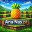 Ikona serwera Ana-nas.pl