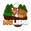 Ikona serwera McLiski.pl