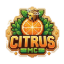 Ikona serwera CitrusMc.pl