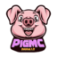 Ikona serwera PigMC.pl